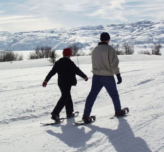  Day and night snowshoeing 